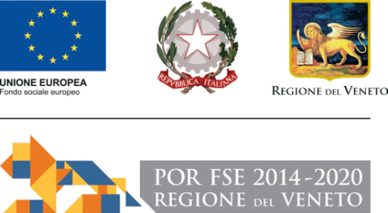Loghi rettangolo Corsi FSE
